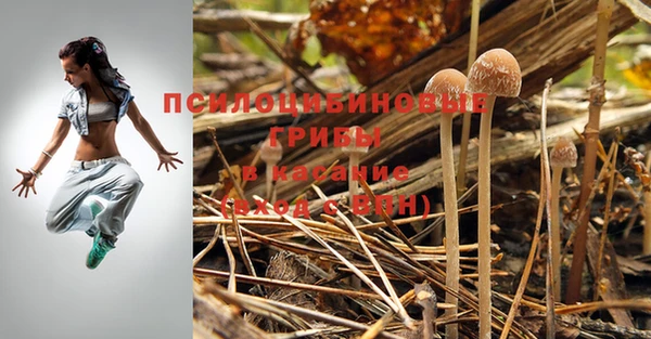 гашик Алзамай