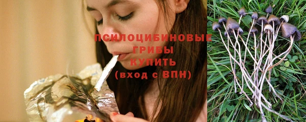 гашик Алзамай