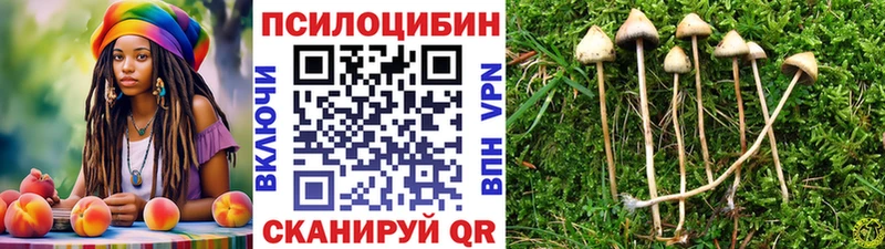 Галлюциногенные грибы мицелий  Апатиты 